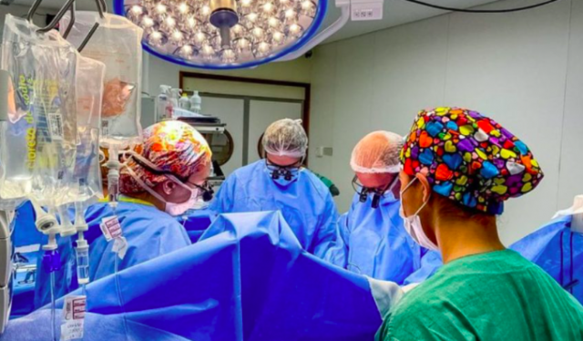 Santa Catarina Tem Quase Pessoas Na Fila Do Transplante