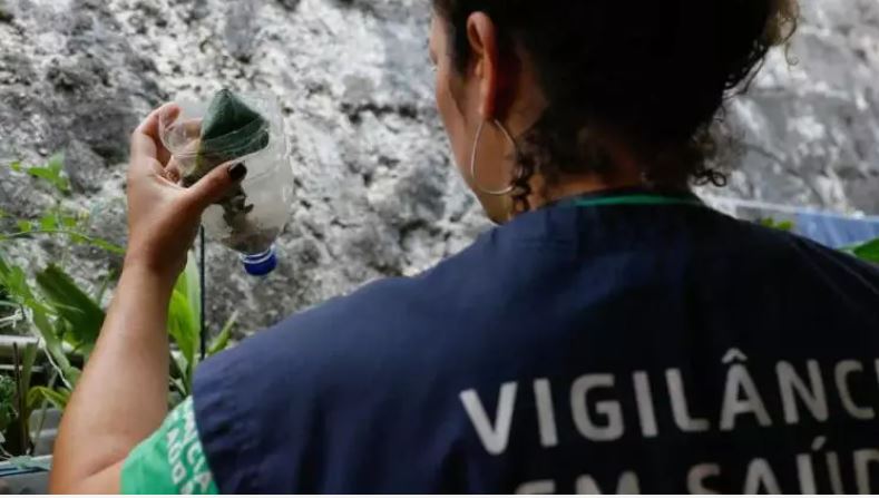 Brasil Bate Recorde De Mortes Por Dengue Em 2023 Diz Senan