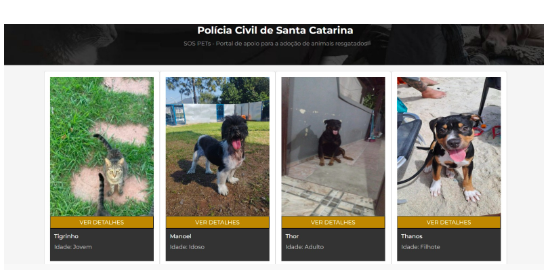 Polícia Civil lança portal para adoção de animais resgatados e vítimas de maus-tratos