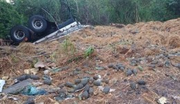 Motorista de 31 anos morre em capotamento de caminhão na BR-153