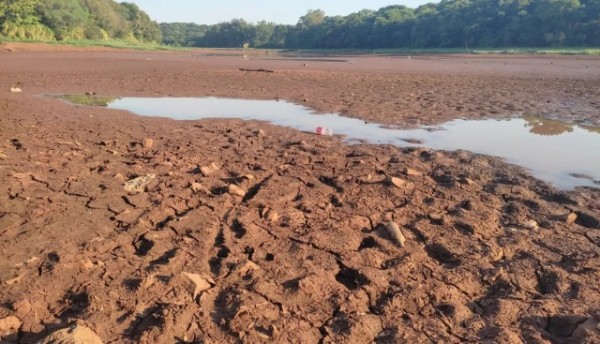 Dia Mundial da Água alerta para impactos da seca e necessidade de preservação