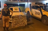 Jovem de Chapecó é preso em rodovia do PR com 216 kg de maconha