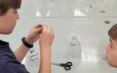 Alunos criam armadilha para mosquito da dengue com garrafas pet