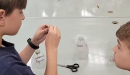 Alunos criam armadilha para mosquito da dengue com garrafas pet