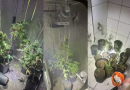 Incêndio em hotel revela plantação de maconha escondida em um dos quartos em SC