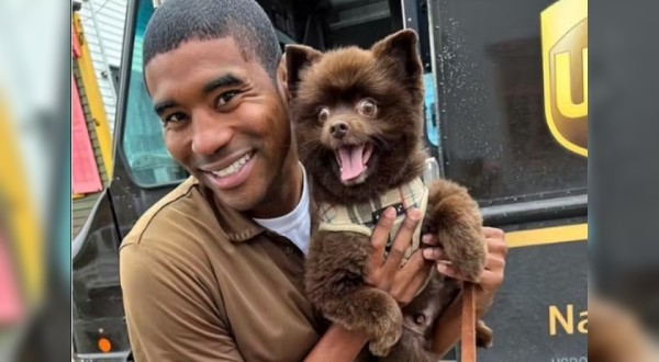 Motorista de entregas tira selfies com cachorrinhos de clientes